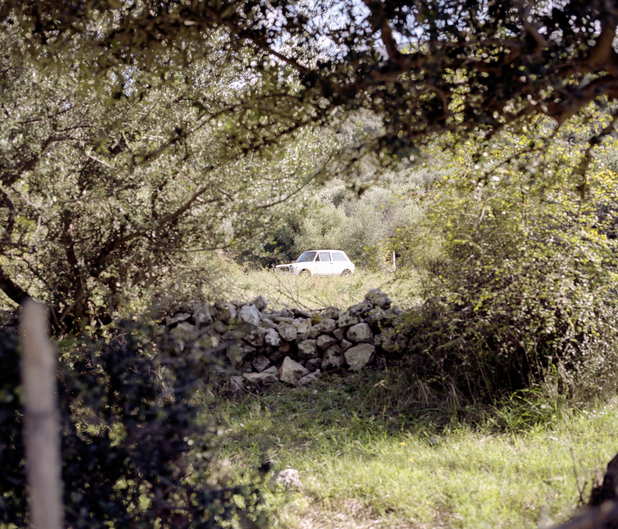 Gargano, Settembre 2014, fotografia 8