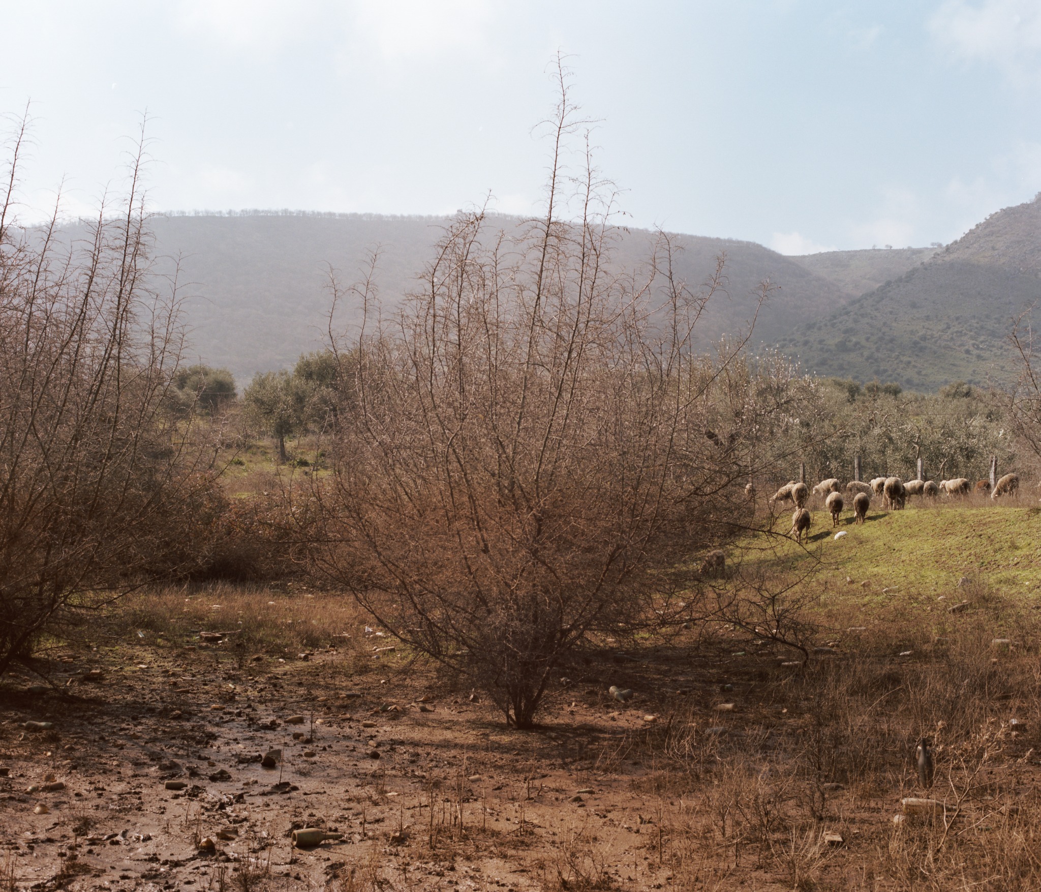 Gargano, Settembre 2014, fotografia 15